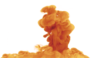 Beta Karoten nedir, eksikliği, fazlalığı, faydaları nelerdir, bulunduğu besinler, takviyesi ve gıda kaynakları hakkında tüm bilgiler Imucore24'de