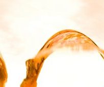 B12 Vitamini Kobalamin nedir, eksikliği, fazlalığı, faydaları nelerdir, bulunduğu besinler, takviyesi ve gıda kaynakları hakkında tüm bilgiler Imucore24'de.